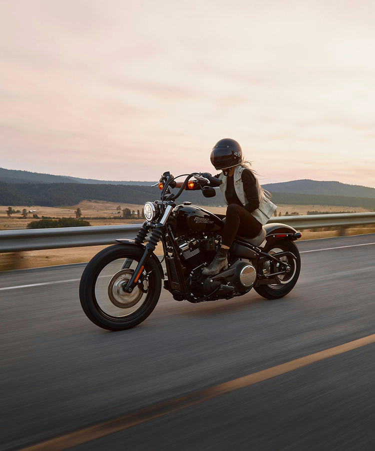 Motorcyclist riding on an open road surrounded by scenic landscape